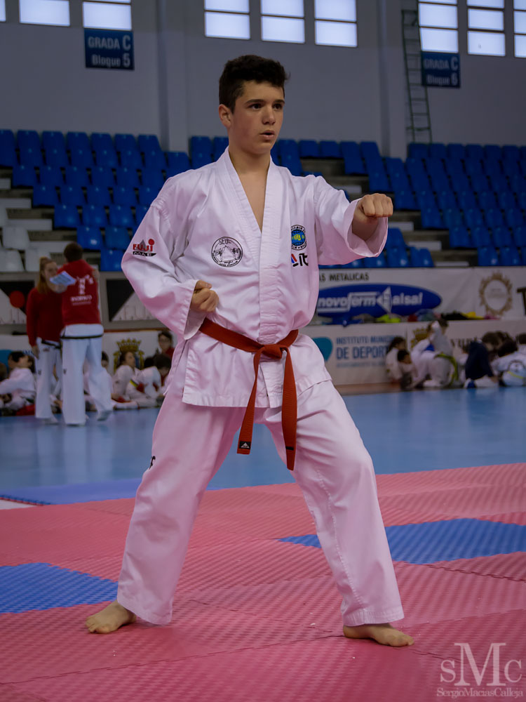 TAEKWONDO CAMPEONATO PAREJAS ABRIL 2018_2046.jpg